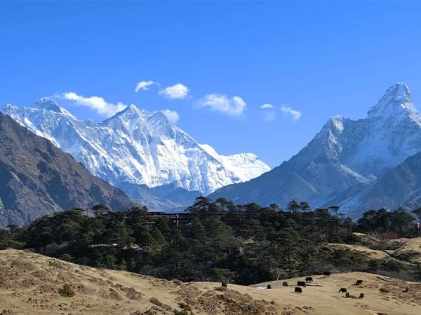 Everest Panorama Trek