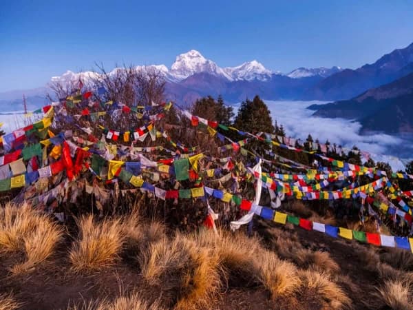 Prayer Flags At Poonhill
